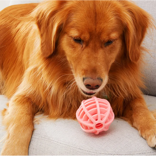 Pelota Juguete para Perros